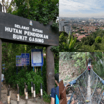 Bukit Gasing arch entrance, city view, and suspension bridge