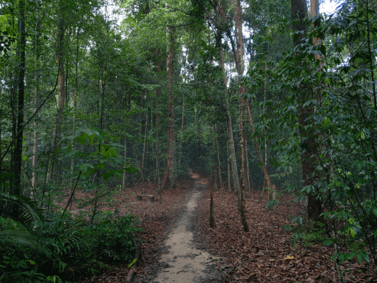 Wawasan Hill Trail