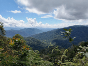 Gunung Angsi Peak