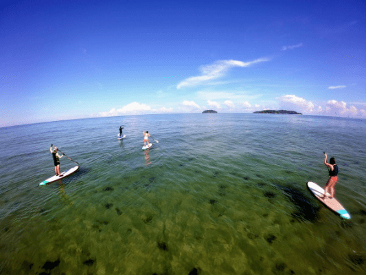 People paddle boarding at the ocean