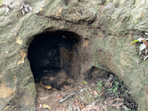 Bukit Kopungit Hiking Trail | Finding WW2 Japanese Tunnels