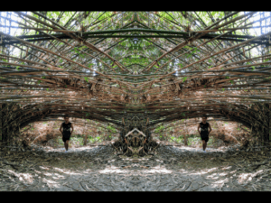 Kiara Hill / Bukit Kiara Hiking | Points of Interest - MeowtainPeople