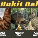 Bukit Bal Hiking Guide to Grand Canyon, Tortoise Rock, Twin Trees and more