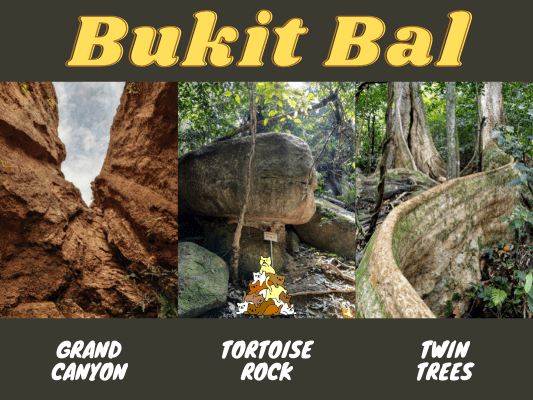 Bukit Bal Hiking Guide to Grand Canyon, Tortoise Rock, Twin Trees and more