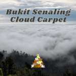 Bukit Senaling Kuala Pilah Sea Of Clouds, Cloud Carpet, Karpet Awan Negeri Sembilan