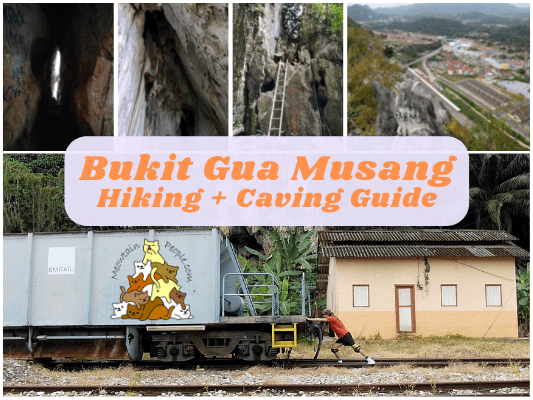 Bukit Gua Musang Hiking Guide