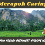 Merapoh Caves | Multiple Caving Adventures + Wildlife Observation Hide