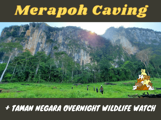 Merapoh Caves | Multiple Caving Adventures + Wildlife Observation Hide