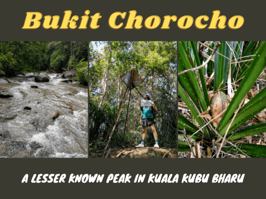 Bukit Chorocho Hiking Guide