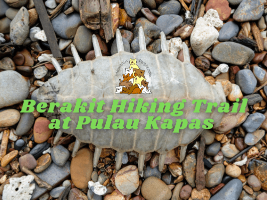 Berakit Hiking Guide Pulau Kapas