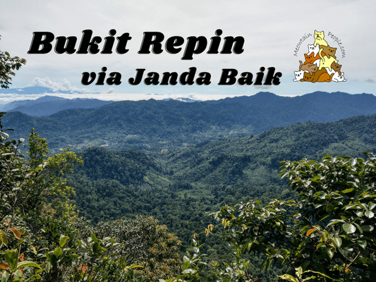 Bukit Repin via Janda Baik Hiking Guide