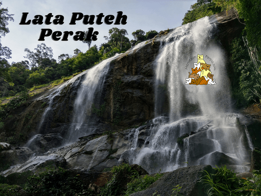 Lata Puteh Waterfall Perak
