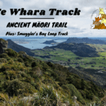 Te Whara Track Scenic Lookout Hiking Guide