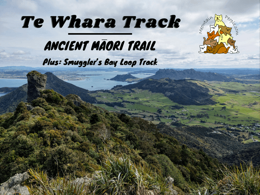 Te Whara Track Scenic Lookout Hiking Guide