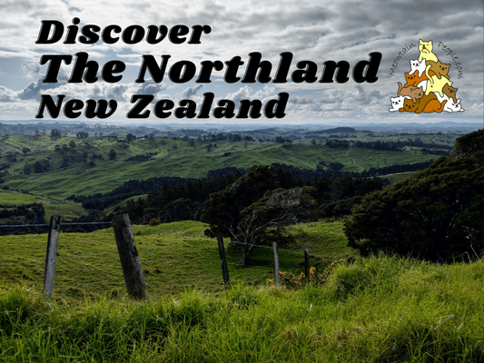 Places to visit in Northland New Zealand
