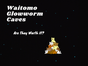 Waitomo Glowworm Caves and Ruakuri Cave, are they worth it