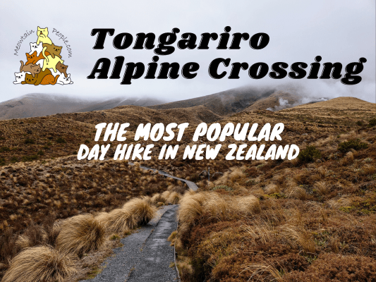 Tongariro Alpine Crossing The Most Popular Day Hike in New Zealand