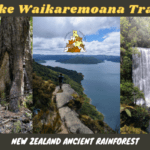 Lake Waikaremoana Track: Remote Ancient Rainforest Of Te Urewera