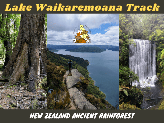 Lake Waikaremoana Track: Remote Ancient Rainforest Of Te Urewera