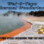 Waiotapu Thermal Wonderland, Lady Knox Geyser, Geothermal Park, Hot Mud Pool