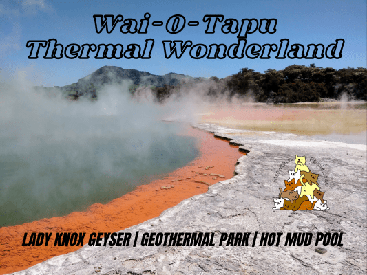 Waiotapu Thermal Wonderland, Lady Knox Geyser, Geothermal Park, Hot Mud Pool