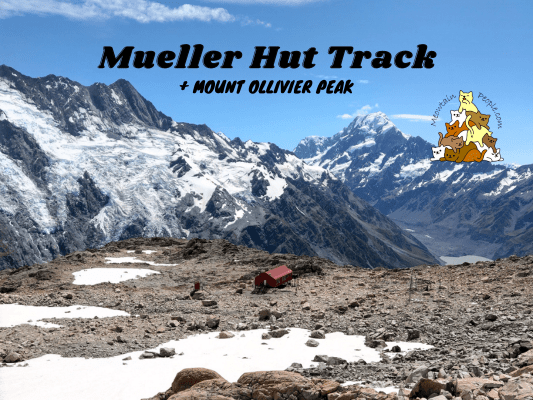 Mueller Hut Route Mueller Hut Mount Ollivier Peak Day Hike MeowtainPeople