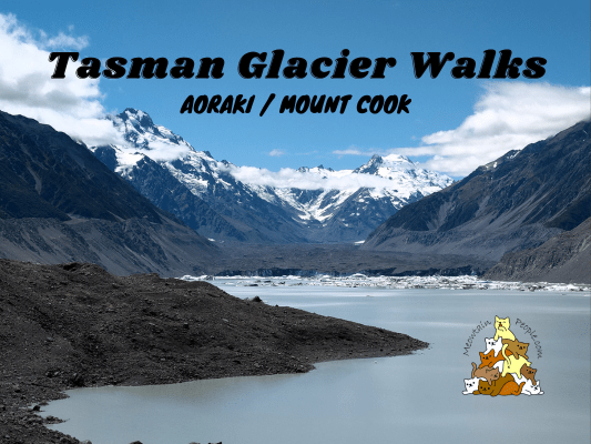 Tasman Glacier View Track + Tasman Lake And River Track