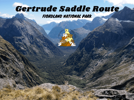 Gertrude Saddle Route Fiordland National Park