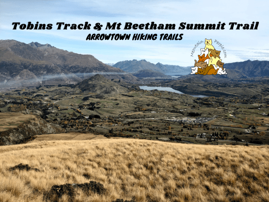 Tobins Track and Mt Beetham Summit Trail