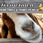 What To Do In Arrowtown