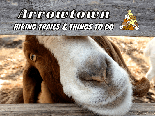 What To Do In Arrowtown