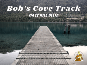 Twelve Mile Delta to Bob's Cove Track