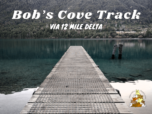 Twelve Mile Delta to Bob's Cove Track