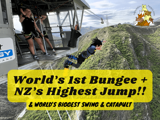 Bungee Jumping New Zealand