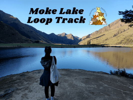 Moke Lake Loop Track Queenstown Hiking Trail