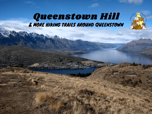 Queenstown Hill and more hiking trails in Queenstown