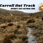 Carroll Hut Track Arthurs Pass National Park