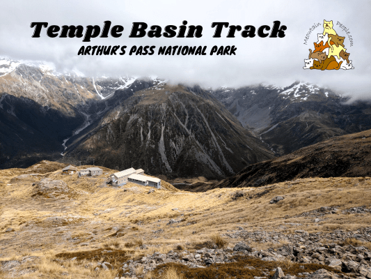 Temple Basin Track, Arthur's Pass National Park