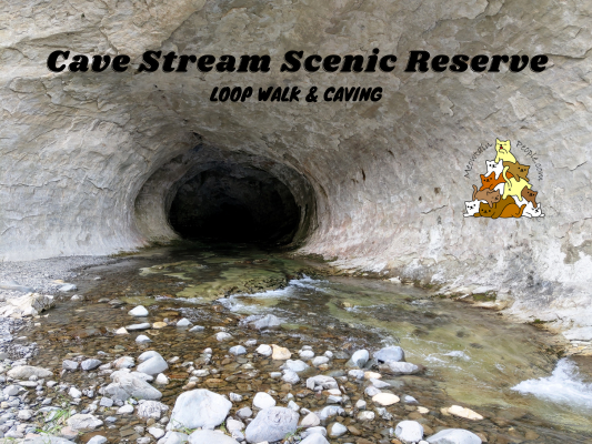 Cave Stream Scenic Reserve