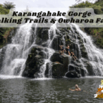 Karangahake Gorge Walking Trails and Owharoa Falls Track