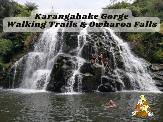 Karangahake Gorge Walking Trails and Owharoa Falls Track