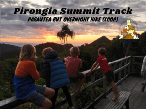 Mount Pirongia Summit Track and Pahautea Hut