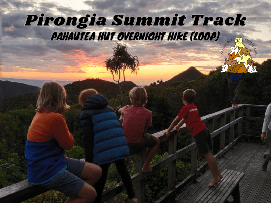 Mount Pirongia Summit Track and Pahautea Hut
