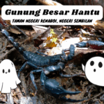 Gunung Besar Hantu Taman Negeri Kenaboi