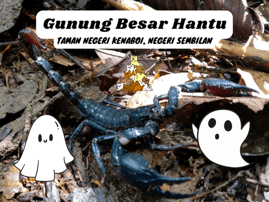 Gunung Besar Hantu Taman Negeri Kenaboi