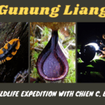 Gunung Liang Wildlife Expedition With Chien C Lee