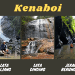 Lata Kijang Lata Dinding Jeram Berungut Kenaboi