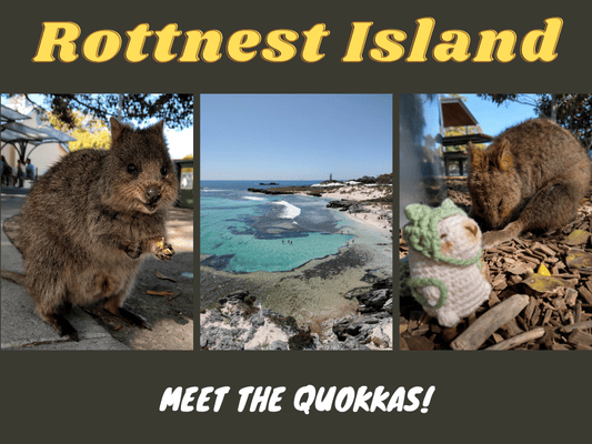 Rottnest Island Meet The Quokkas