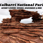 Kalbarri National Park, Western Australia | Nature’s Window, Skywalk, Wildflowers and More