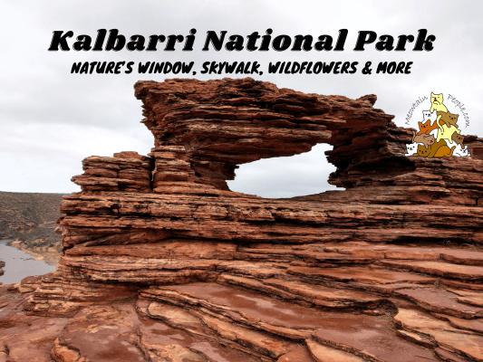 Kalbarri National Park, Western Australia | Nature’s Window, Skywalk, Wildflowers and More